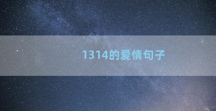 1314的爱情句子