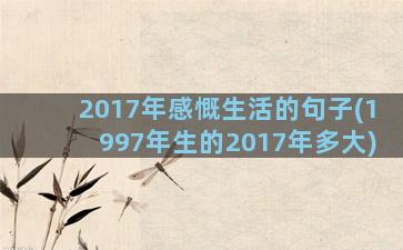 2017年感慨生活的句子(1997年生的2017年多大)