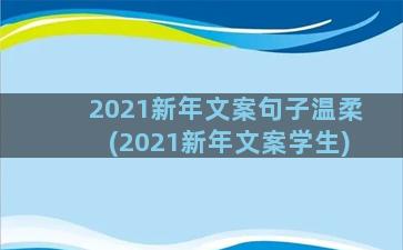 2021新年文案句子温柔(2021新年文案学生)