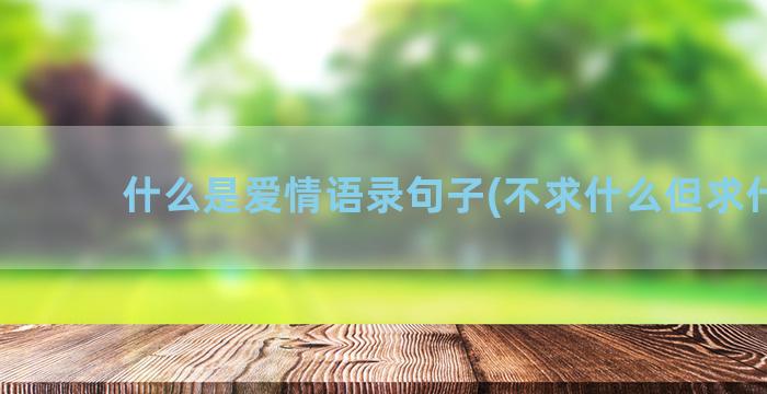 什么是爱情语录句子(不求什么但求什么)