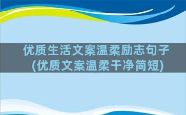 优质生活文案温柔励志句子(优质文案温柔干净简短)