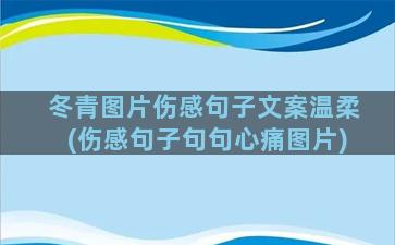 冬青图片伤感句子文案温柔(伤感句子句句心痛图片)