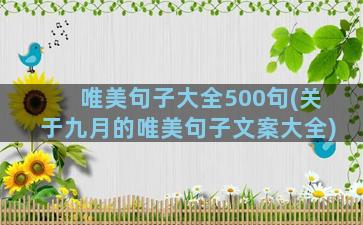 唯美句子大全500句(关于九月的唯美句子文案大全)