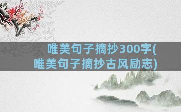 唯美句子摘抄300字(唯美句子摘抄古风励志)