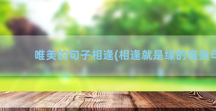 唯美的句子相逢(相逢就是缘的唯美句子)