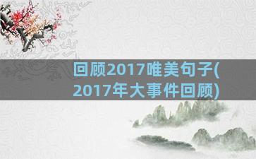 回顾2017唯美句子(2017年大事件回顾)