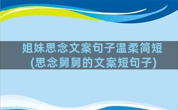 姐妹思念文案句子温柔简短(思念舅舅的文案短句子)