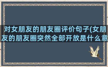 对女朋友的朋友圈评价句子(女朋友的朋友圈突然全部开放是什么意思)