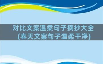 对比文案温柔句子摘抄大全(春天文案句子温柔干净)