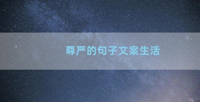 尊严的句子文案生活