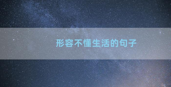 形容不懂生活的句子