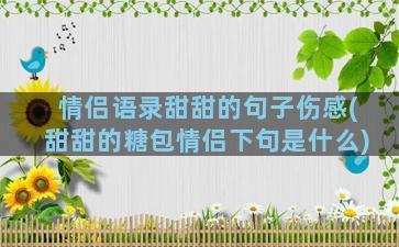 情侣语录甜甜的句子伤感(甜甜的糖包情侣下句是什么)