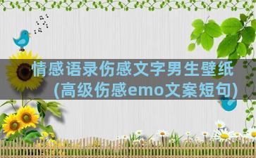 情感语录伤感文字男生壁纸(高级伤感emo文案短句)