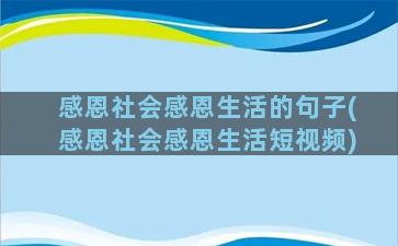 感恩社会感恩生活的句子(感恩社会感恩生活短视频)