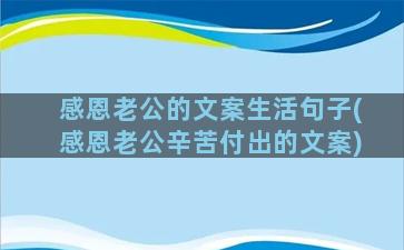 感恩老公的文案生活句子(感恩老公辛苦付出的文案)