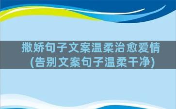 撒娇句子文案温柔治愈爱情(告别文案句子温柔干净)