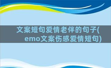 文案短句爱情老伴的句子(emo文案伤感爱情短句)