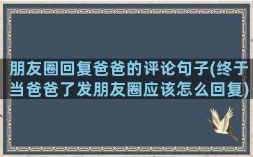 朋友圈回复爸爸的评论句子(终于当爸爸了发朋友圈应该怎么回复)