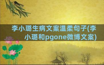 李小璐生病文案温柔句子(李小璐和pgone微博文案)