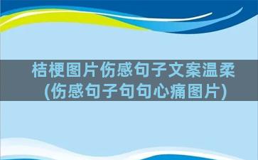 桔梗图片伤感句子文案温柔(伤感句子句句心痛图片)