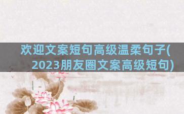 欢迎文案短句高级温柔句子(2023朋友圈文案高级短句)