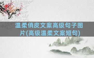 温柔俏皮文案高级句子图片(高级温柔文案短句)