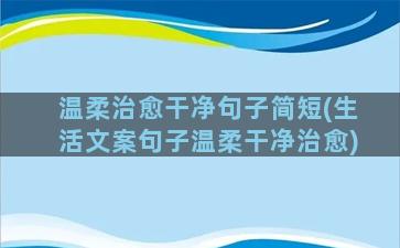 温柔治愈干净句子简短(生活文案句子温柔干净治愈)