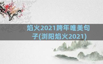 焰火2021跨年唯美句子(浏阳焰火2021)