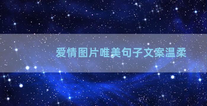 爱情图片唯美句子文案温柔