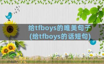 给tfboys的唯美句子(给tfboys的话短句)