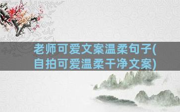 老师可爱文案温柔句子(自拍可爱温柔干净文案)