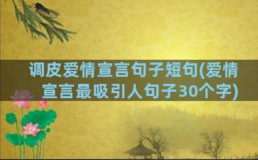 调皮爱情宣言句子短句(爱情宣言最吸引人句子30个字)