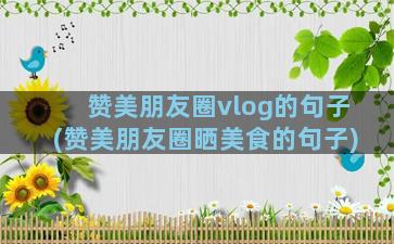 赞美朋友圈vlog的句子(赞美朋友圈晒美食的句子)