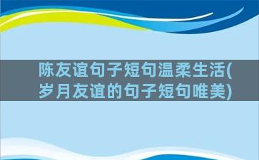 陈友谊句子短句温柔生活(岁月友谊的句子短句唯美)